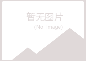 鹤岗兴山涵双服务有限公司